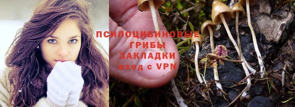 крисы Алексеевка